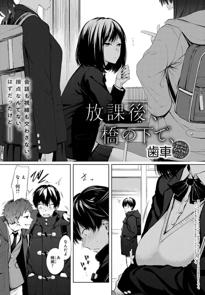 放課後、橋の下で、 表紙